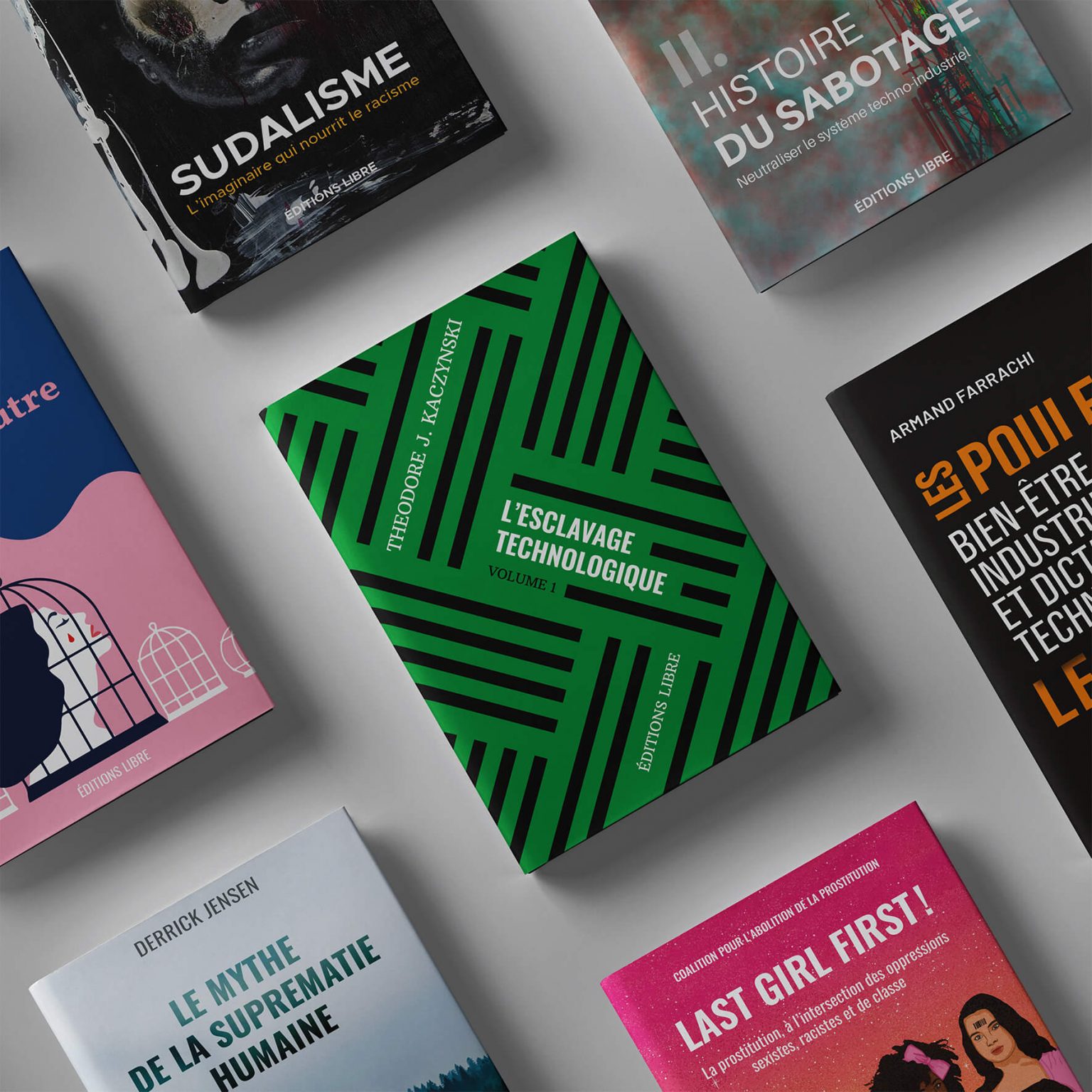 Manuel d'action directe (Earth First!) - Editions LIBRE
