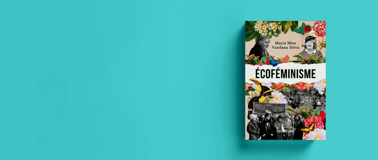 Ecofeminisme_slider